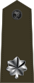 U.S. Marine Corps rank insignia of a lieutenant colonel.