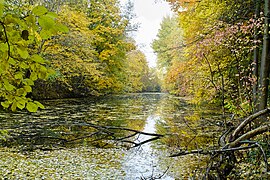 Morysin Nature Reserve