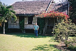 A bahay kubo