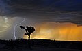 Image 80A High Desert storm in the Mojave (from Earth)