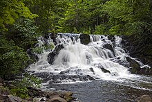 A small waterfall over rocks in a forested area, seen from a three-quarter angle, with the water blurred reflecting a longer exposure