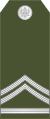 Vodnik 1 klase (Montenegrin Ground Army)[5]