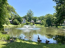 Black Ink Pond in Roslyn Estates on June 5, 2021.