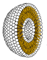 Image 15Cross-section through a liposome (from History of Earth)