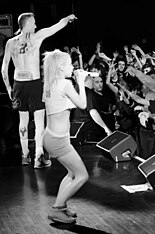 Die Antwoord