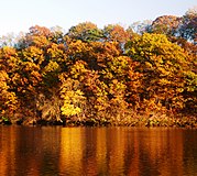 Raritan River at the Fall Line, as seen from Highland Park