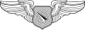 Air Battle Manager Badge