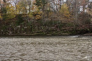 River with autumn trees in background