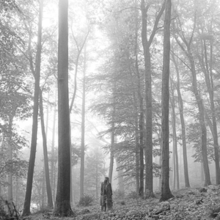 Cover artwork of Folklore, a black-and-white photo showing Swift standing in the woods