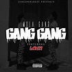 Mula Gang ft. E-Mozzy - Gang Gang (Prod. JuneOnnaBeat) (Exclusive) | Thizzler