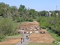 Dog park in Piedmont Park