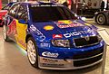 Skoda Fabia WRC of Andreas Aigner