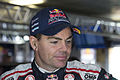 Craig Lowndes (2015)