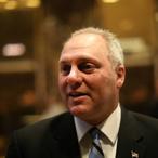 Steve Scalise Net Worth