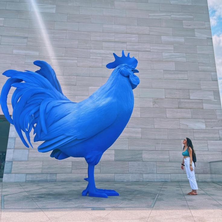 blue chicken