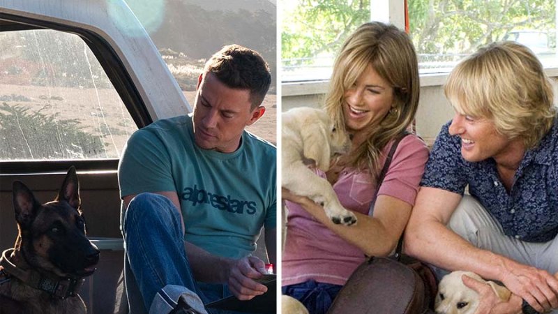 Ruff The Best Pet Themed Movies Of All Time