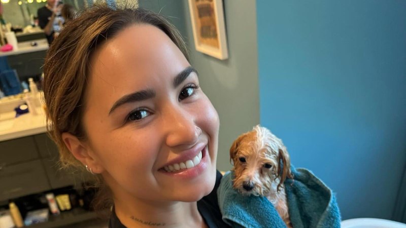 Celebrities Who Have Pets With Food-Inspired Names Demi Lovato