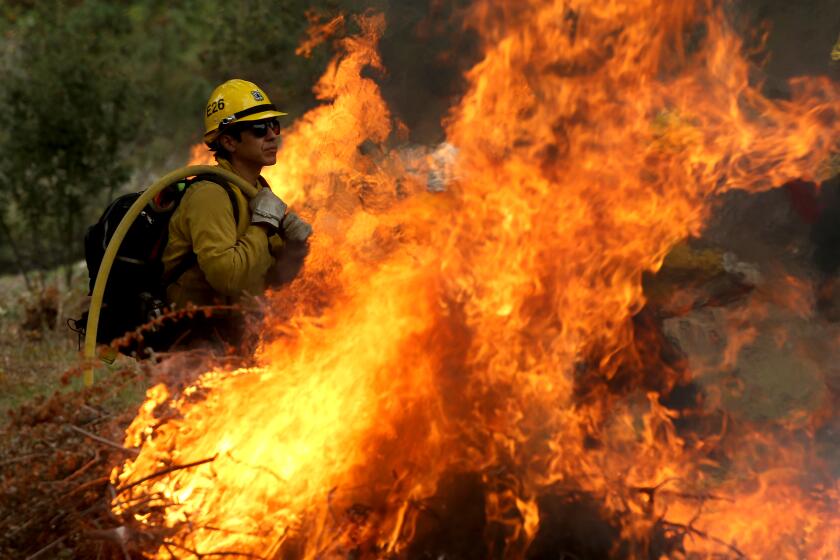 Upland, CA - U.S. Forest Service firefighters in the Angeles National Forest burn piles of forest debris below Mt. Baldy on Wednesday morning, Nov. 29, 2023. Controlled burns are part of the service's forest management practices. (Luis Sinco / Los Angeles Times)