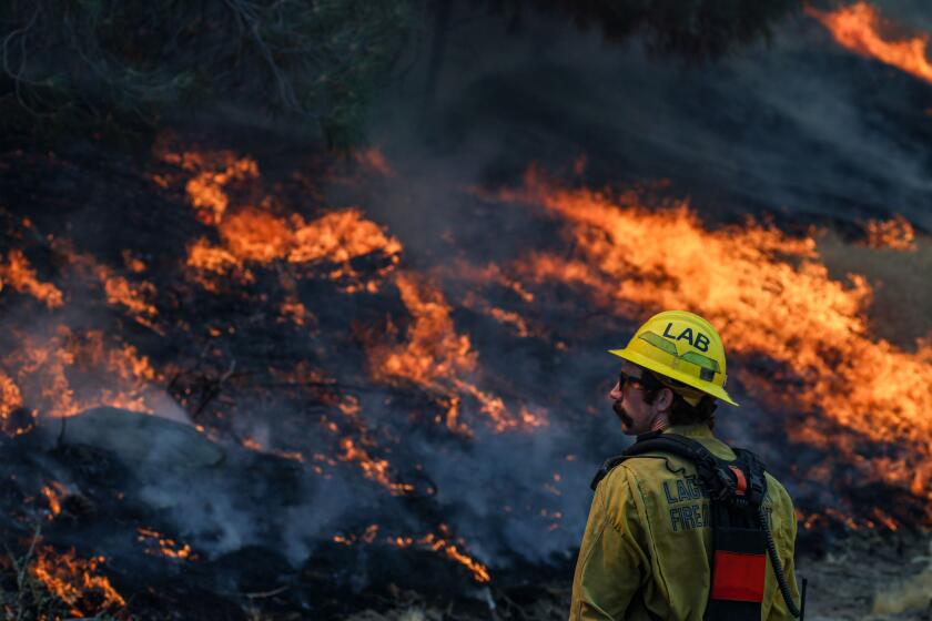 Havilah, CA, Sunday, July 28, 2024 - Laguna Beach firefighter Brian Adams keeps a close eye on fast moving flames as dozens of firefighters manage the Southeastern flank of the Borel Fire near the community of Twin Oaks. (Robert Gauthier/Los Angeles Times)