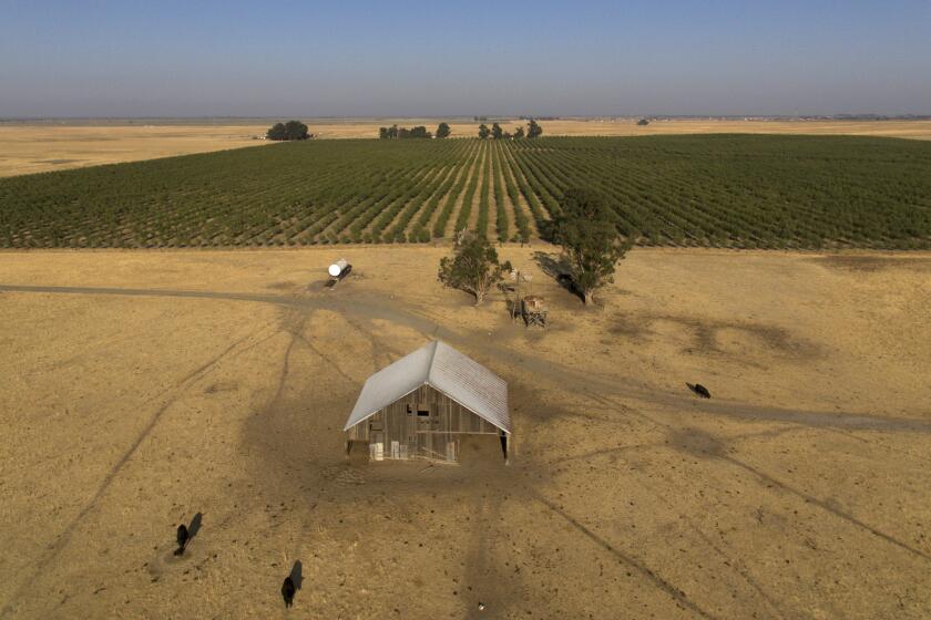 FILE - In this aerial photo is farmland in rural Solano County, Calif., Aug. 30, 2023. The people behind a secretive Silicon Valley-backed ballot initiative to construct a new city on farmland between Sacramento and San Francisco are releasing more details of their plan as they submit paperwork Wednesday, Jan. 17, 2024, to qualify for the November election. (AP Photo/Godofredo A. Vásquez, File)