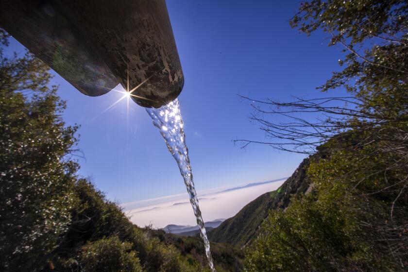 Rimforest, CA - December 04: Water pours out of a pipe beside one of the sites in the San Bernardino Mountains where the company BlueTriton Brands collects water for bottling. Photos taken in San Bernardino National Forest on Saturday, Dec. 4, 2021, near Rimforest, CA. (Allen J. Schaben / Los Angeles Times)