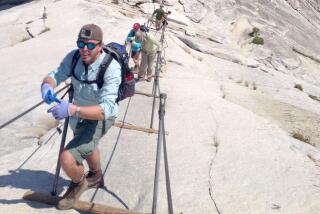 Hikers make their way up the Half Dome Cables August 11, 2015. 