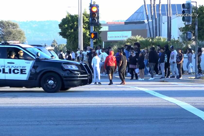 Brawl at Torrance mall draws large police response on Sunday