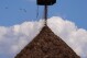 FILE - Birds fly past a pile of wood used to make pellets during a tour of a Drax facility in Gloster, Miss., Monday, May 20, 2024. British energy giant Drax Global, already under scrutiny for running afoul of environmental laws in multiple states, including Mississippi, recently disclosed that its Louisiana wood pellet production facilities emit hazardous air pollutants above their permitted limits. (AP Photo/Gerald Herbert, File)