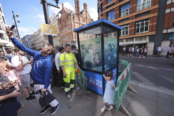 A man takes a selfie by a new design of swimming fish by Banksy, which appeared on a police box in the City of London is cordoned off, in London, Monday Aug. 12, 2024. (Emily Pennink/PA via AP)