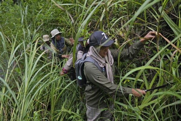 Sumini, a leader of a female ranger group, uses a machete to clear the way during a forest patrol in Damaran Baru, Aceh province, Indonesia, Tuesday, May 7, 2024. The patrol group was started by Sumini, who witnessed the devastating effects of deforestation on her local village. (AP Photo/Dita Alangkara)