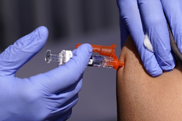 FILE - A patient is given a flu vaccine Oct. 28, 2022, in Lynwood, Calif. On Tuesday, July 2, 2024, the U.S. Department of Health and Human Services announced plans to pay Moderna $176 million to develop a mRNA vaccine to treat bird flu in people, as cases in dairy cows continue to mount across the country. (AP Photo/Mark J. Terrill, File)