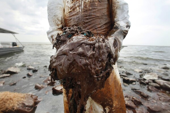 FILE - A cleanup worker picks up blobs of oil in absorbent snare on Queen Bess Island at the mouth of Barataria Bay near the Gulf of Mexico in Plaquemines Parish, La., June 4, 2010. (AP Photo/Gerald Herbert, File)