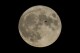 FILE - A plane passes in front of the moon, Aug. 30, 2023, in Chicago. Scientists have confirmed a cave on the moon, not far from where Neil Armstrong and Buzz Aldrin landed 55 years ago this week, and suspect there are hundreds more that could house future astronauts. (AP Photo/Kiichiro Sato, file)