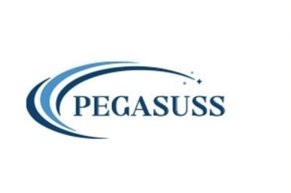 PEGASUSS: A New Player for Everyday Technology Products