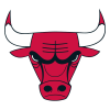 Bulls's logo