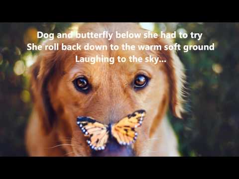 Dog & Butterfly