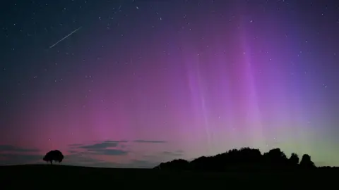 silhouette of a tree and a hill with striking image of purple and green of the aurora.  Can also see white dots of stars and a streak of a shooting star