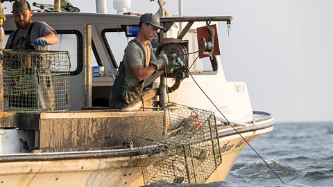 Fishing boat (Credit: Jay Fleming)