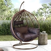 SpyderCraft Alisha Craft Single Seater Swing Chair with Stand & Cushion Outdoor Indoor Balcony Garden Patio,Powder...