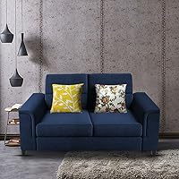 Casaliving Nancy 2 Seater Sofa Set for Living Room | Color - Blue
