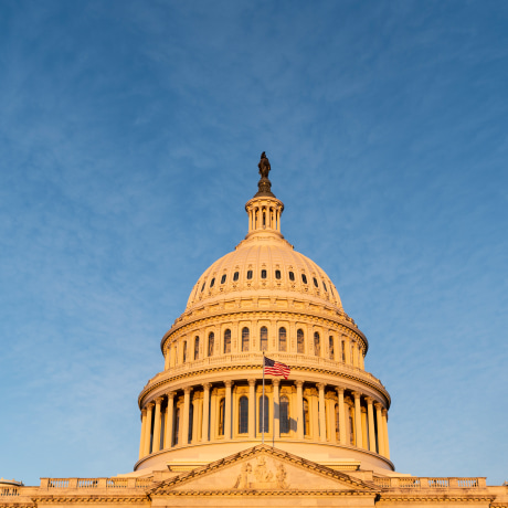 The U.S. Capitol dome is lit by the morning sun on March 14, 2022. 