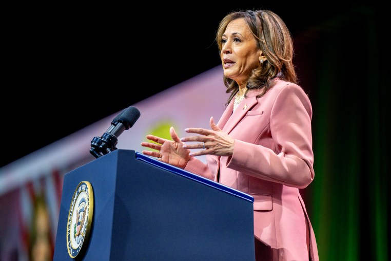 Vice President Kamala Harris Speaks