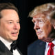 A side by side of Elon Musk and Donald Trump