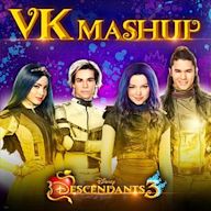 VK Mashup