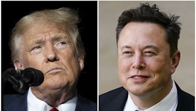 Elon Musk Tweet Saying Trump Shouldn t Run for President in 2024 Resurfaces