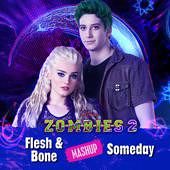 Flesh & Bone/Someday Mashup