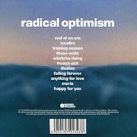 Radical Optimism