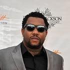 Gorilla Zoe